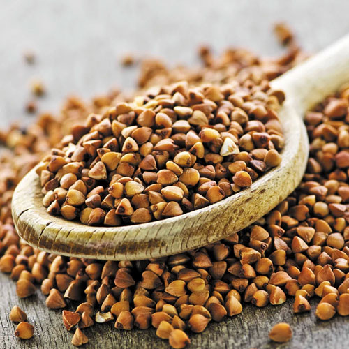 Buckwheat Millet