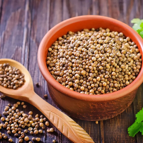 Coriander