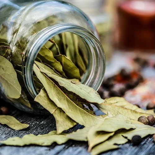 Bay leaves
