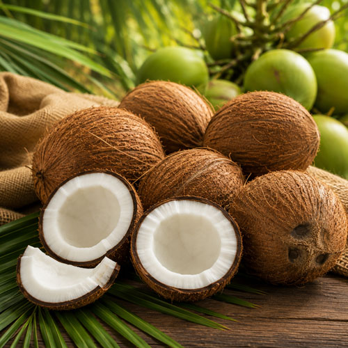 Coconuts Coconuts