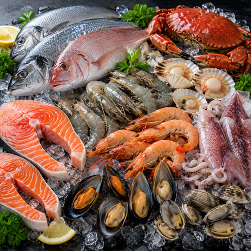 Sea Foods Sea Foods
