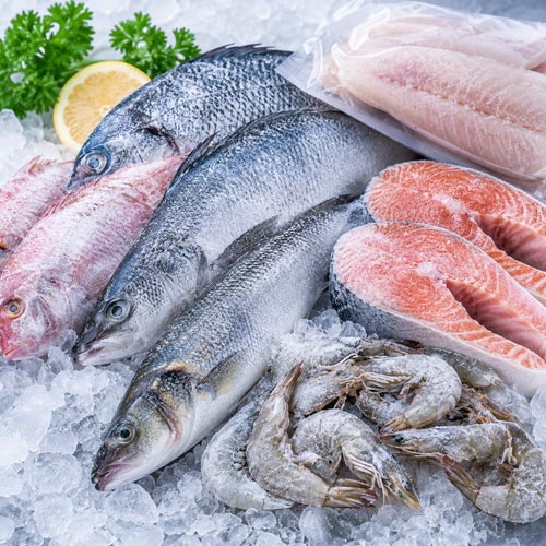 Frozen Fish