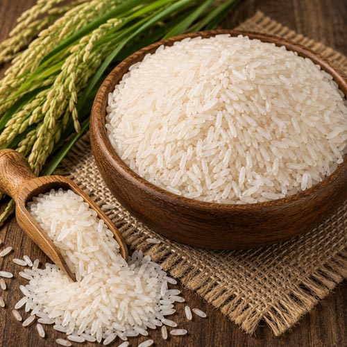 Rice