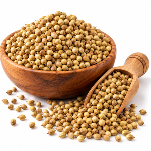 Coriander Seeds (Dhaniya)