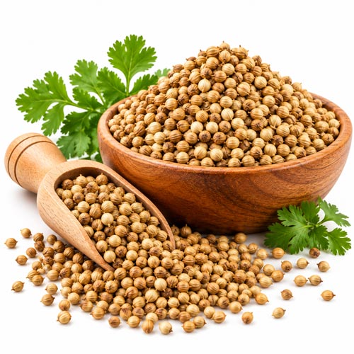 Coriander Seeds