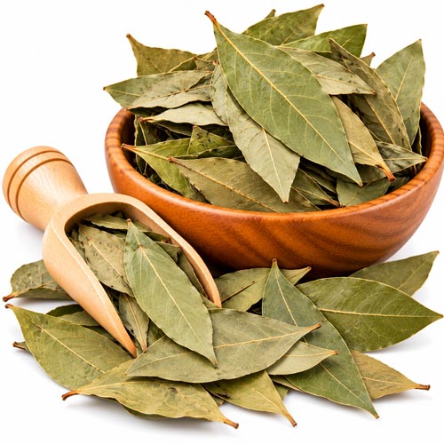Bay Leaf