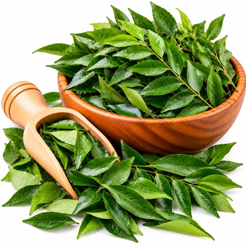 Curry Leaves