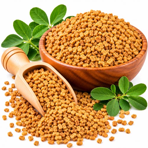 Fenugreek Seeds