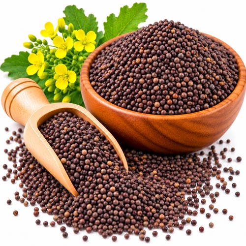 Black Mustard Seeds