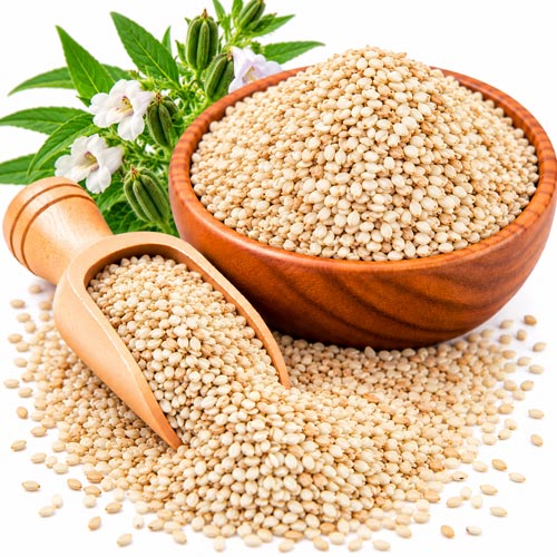 Sesame Seed