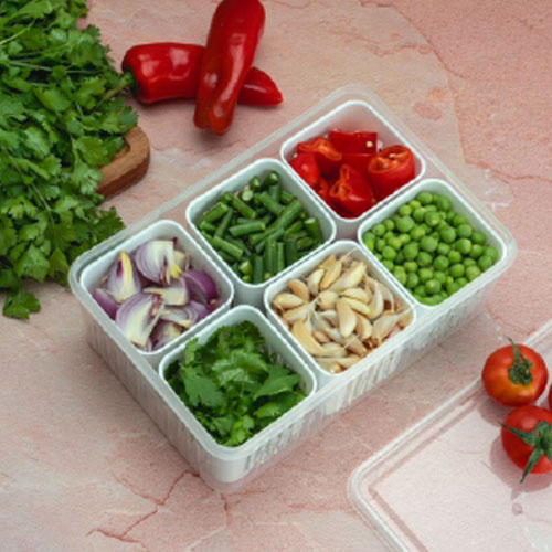 6 Compartment Containers