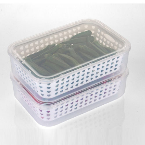 Fridge Containers 1 Compartment