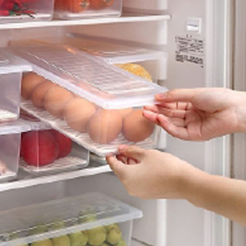 Fridge Containers